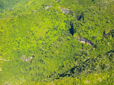  Black River Vadisi Ulusal Parkı 