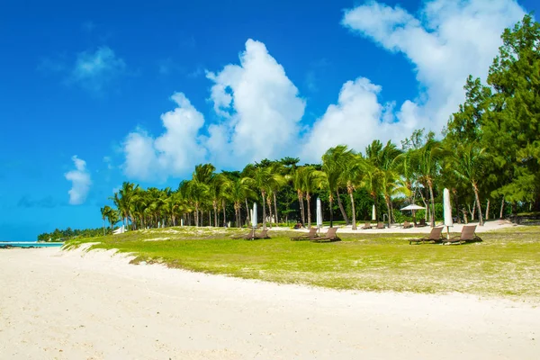 Beau paysage estival de la côte tropicale — Photo