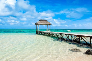 Güzel tropikal güneşli manzara