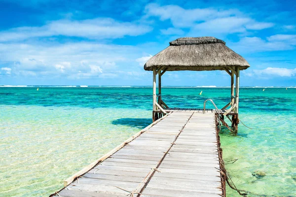 Beautiful tropical sunny landscape — Stock Photo, Image