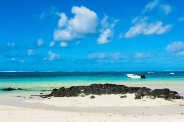 Güzel yaz manzara tropik sahil 