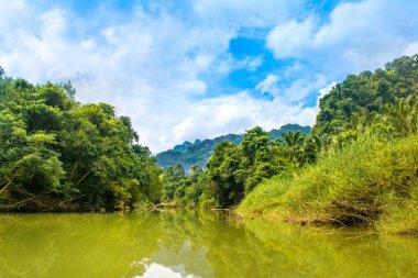 Tayland bir ormanda tropikal peyzaj