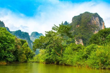 Tayland bir ormanda tropikal peyzaj