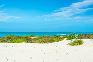 Saadiyat Adası, Birleşik Arap Emirlikleri 'ndeki temiz turkuaz okyanus ve kumlu plajların güzel manzarası. 
