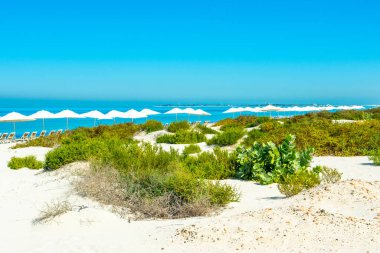 Saadiyat Adası, Birleşik Arap Emirlikleri 'ndeki temiz turkuaz okyanus ve kumlu plajların güzel manzarası. 