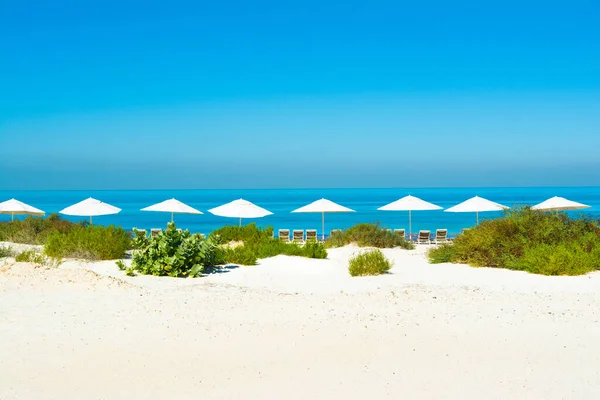 Saadiyat Adası, Birleşik Arap Emirlikleri 'ndeki temiz turkuaz okyanus ve kumlu plajların güzel manzarası. 