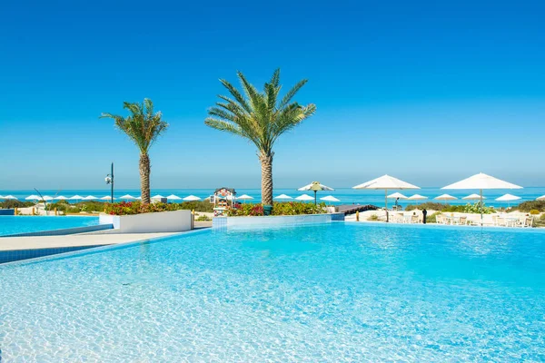 Insel Saadiyat Vereinigte Arabische Emirate Januar 2020 Poolbereich Mit Sonnenliegen — Stockfoto