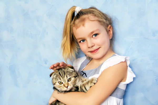 Meisje met grijze kitty — Stockfoto