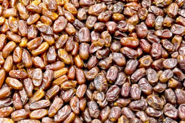 Arka plan oryantal tatlılar