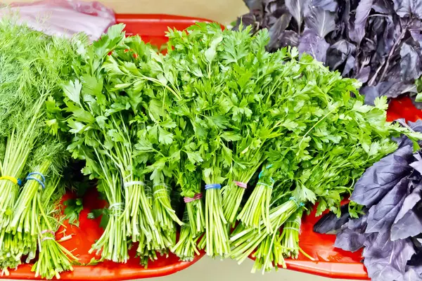 Fresh green foliage in marketplace — Stock Photo, Image