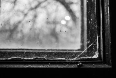 Penceredeki örümcek ağları