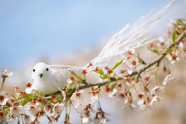 Kleiner Vogel auf Kirschblüten — Stockfoto