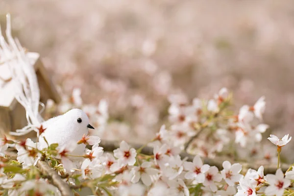 Pássaro e Birdhouse com flores de cereja — Fotografia de Stock