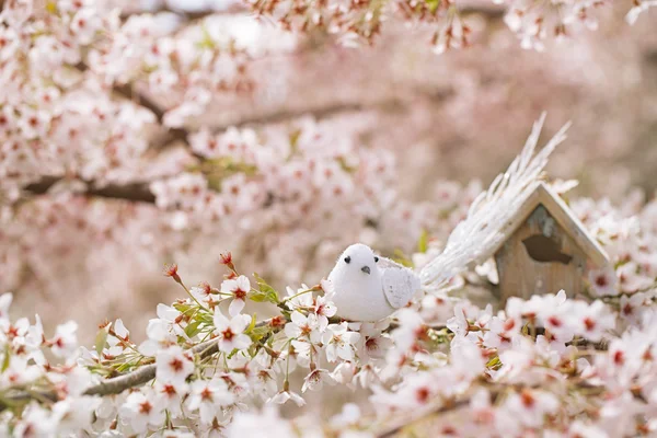 Bird and Birdhouse with cherry flowers — Stock Photo, Image