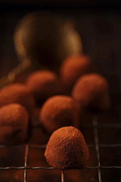 Trufas de chocolate cacau em pó polvilhado — Fotografia de Stock