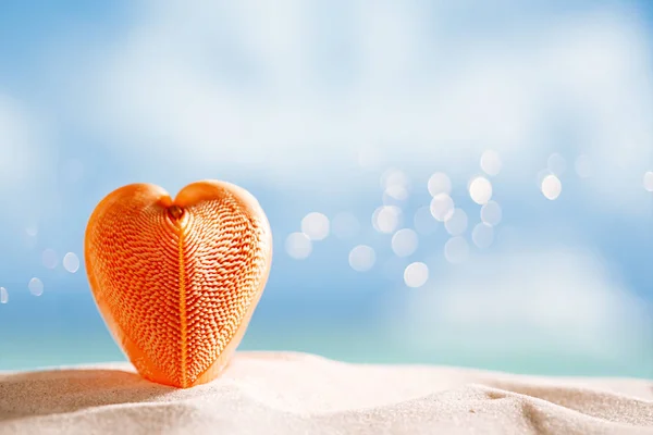 Corazón de concha de mar en playa blanca — Foto de Stock