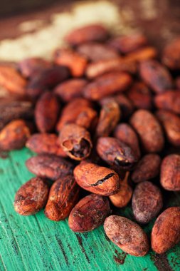 kavrulmuş kakao çikolata fasulye 