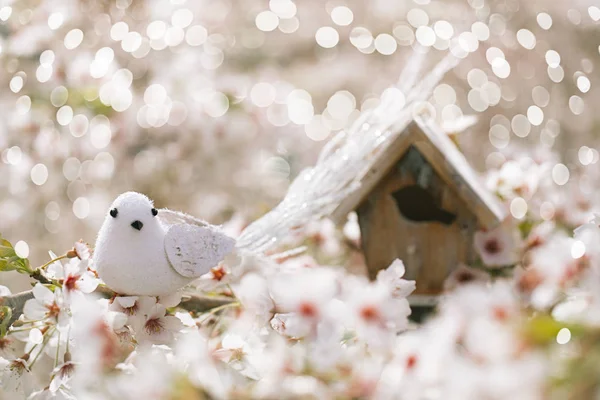 Passarinho e Birdhouse — Fotografia de Stock