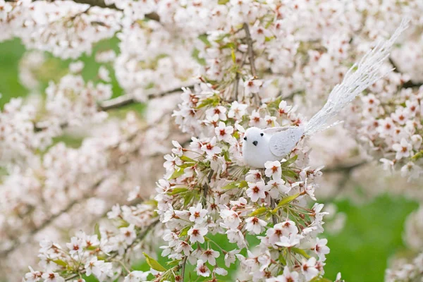 Little bird  in Spring with blossom — Stock Photo, Image