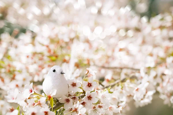 Little bird  in Spring with blossom — Stock Photo, Image