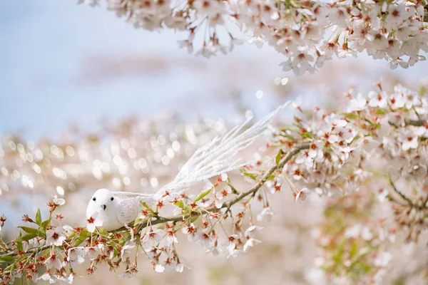 Passarinho na primavera com flor — Fotografia de Stock