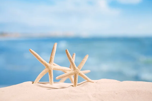 Estrela-do-mar branca com oceano — Fotografia de Stock