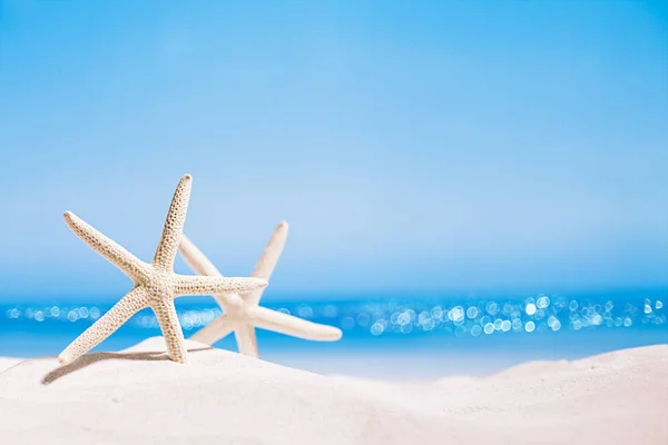 Étoile de mer blanche sur la plage de sable blanc — Photo