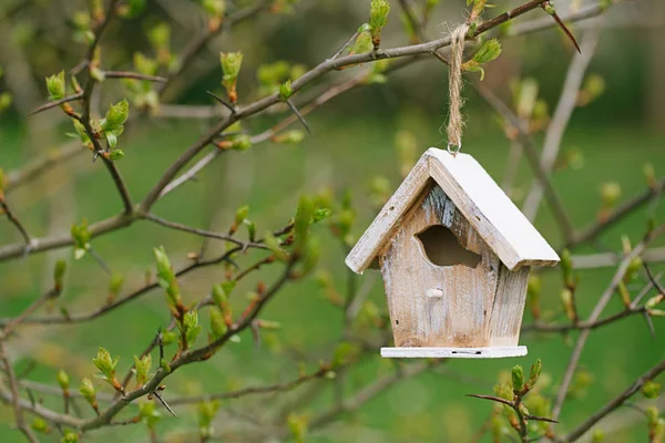 Kleines hölzernes Vogelhäuschen — Stockfoto