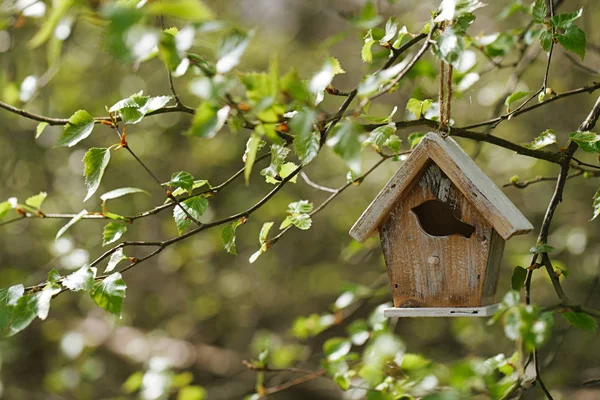 Malý dřevěný holubník — Stock fotografie