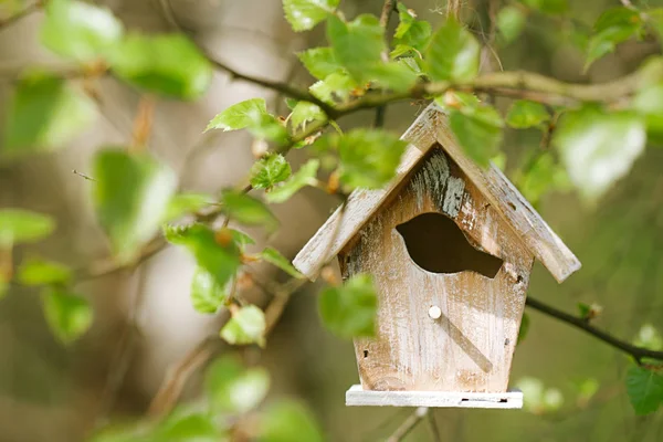 Kleines hölzernes Vogelhäuschen — Stockfoto