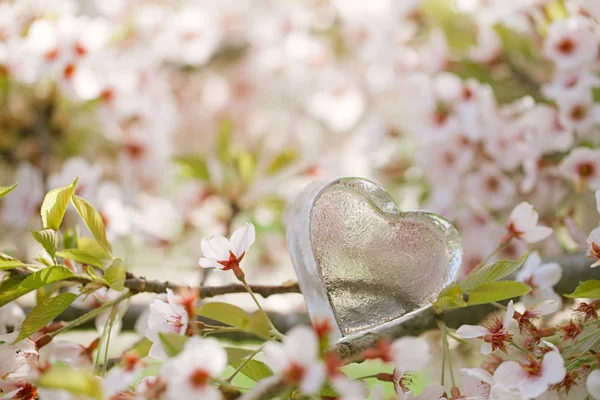 Glass clear heart in flowers — Stock Photo, Image