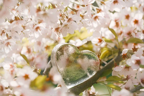 Glass clear heart in flowers — Stock Photo, Image