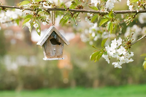 Małe drewniane birdhouse — Zdjęcie stockowe