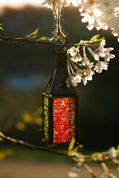 Moroccan glass and metal lanterns lamp — Stock Photo, Image