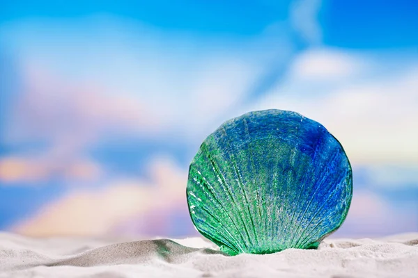 Glass tropical seashell — Stock Photo, Image