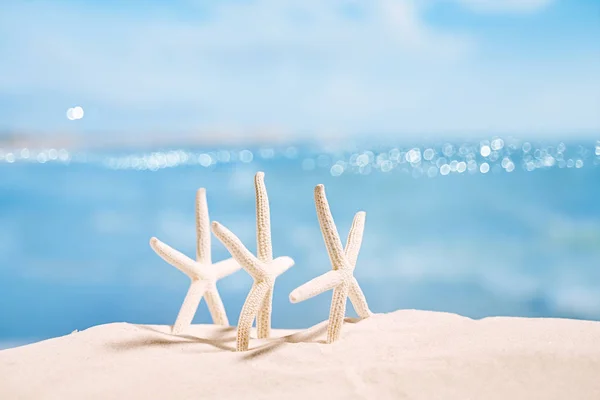 Witte zeesterren op zand — Stockfoto