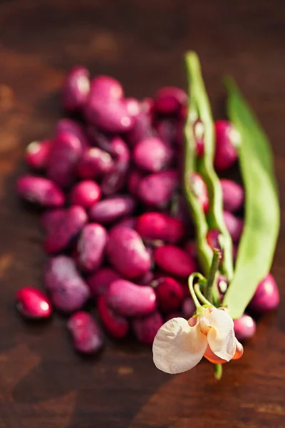 Pile of scarlet running beans — Stock Photo, Image