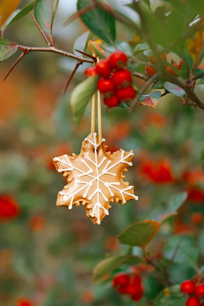 Ginger snowflake cookie — Stock Photo, Image