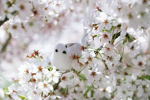 Dekorativer Vogel mit Kirschblüten — Stockfoto