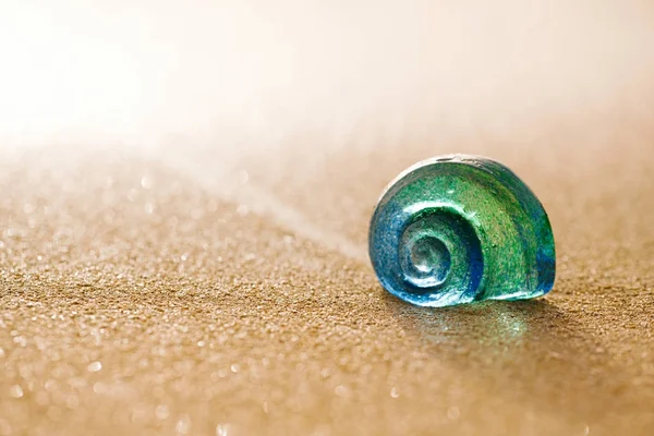 Κέλυφος τροπική θάλασσα γυαλί — Φωτογραφία Αρχείου