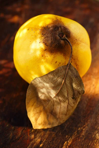 마 르 멜로 과일 goldish — 스톡 사진