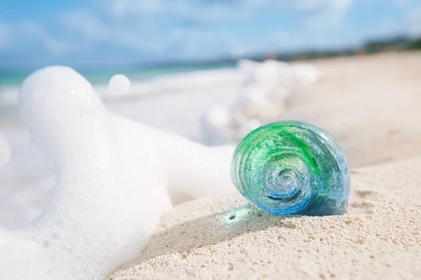 Стеклянная Тропическая Ракушка Песчаном Пляже — стоковое фото