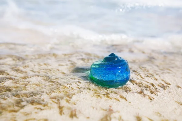 Glass Tropical Seashell Sandy Beach — Stock Photo, Image