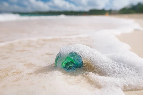 Tropikalne Muszla Szkła Piaszczystej Plaży — Zdjęcie stockowe
