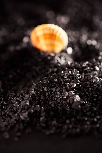 Hawaiian Black Lava Sea Salt Minerals Nutrients Orange Seashell — Stock Photo, Image