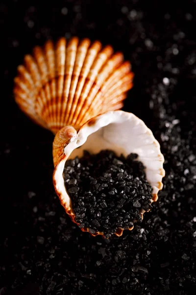 Hawaiian black lava sea salt with minerals and nutrients in orange seashells