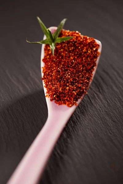 天然晒干的番茄粉 甜可口的汤匙 — 图库照片
