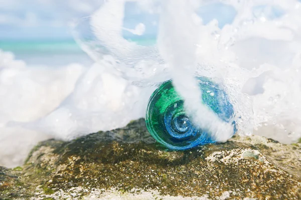 Закрыть Стеклянную Оболочку Камне Морской Пены — стоковое фото