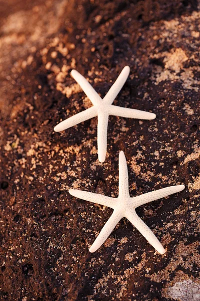 Stelle Marine Bianche Sulla Spiaggia Sabbia Con Onde Oceano — Foto Stock