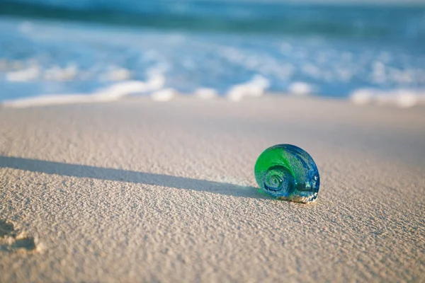 Conchiglia Tropicale Vetro Con Onde Sotto Luce Del Sole — Foto Stock